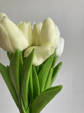 Taooba Tulip Artificial Flowers 10PCS