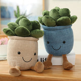 Taooba-B6Plant Plushie