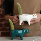 Taooba-Cute Cat Ceramic Garden Flower Pot Animal Image Cactus Plants Planter Succulent Plant Container Tabletop Ornaments Decoration