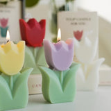 Taooba-Tulip Candles