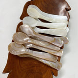 Taooba-Natural Shell Spoon