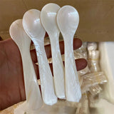 Taooba-Natural Shell Spoon