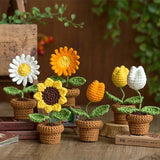 Taooba-B6Crochet Flowers