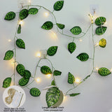 Taooba-B6Artificial Plants String Lights