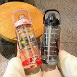 Taooba-2L Straw Plastic Water Bottle Large Portable Travel Bottle Sports Fitness Cup High Value Big Fat Cup Universal Cup with Straw