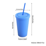 1set Double-layer Plastic Straw Cup Ice Coffee Cup Frosted Handy Water Cup Portable Straw Kettle Sports Bottle Summer Drinkware