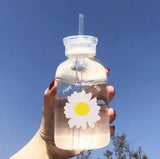 Taooba-Double lid daisy transparent frosted high borosilicate glass portable ins straw drinking cup