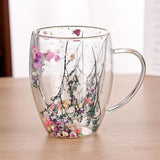 Taooba-1pc 350ml Dried Flower Double Wall Clear Glass Coffee Mugs Double Insulated Glass Cup For Hot Cold Beverages Latte Espresso Cup