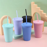 1set Double-layer Plastic Straw Cup Ice Coffee Cup Frosted Handy Water Cup Portable Straw Kettle Sports Bottle Summer Drinkware