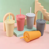 1set Double-layer Plastic Straw Cup Ice Coffee Cup Frosted Handy Water Cup Portable Straw Kettle Sports Bottle Summer Drinkware