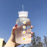 Taooba-Double lid daisy transparent frosted high borosilicate glass portable ins straw drinking cup