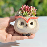 Taooba-Mini Owl Flower Pot Garden Office Decoration Succulent Ceramic Flowerpot Pastoral Cute Animal European Style Household flowerpot