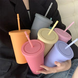 1set Double-layer Plastic Straw Cup Ice Coffee Cup Frosted Handy Water Cup Portable Straw Kettle Sports Bottle Summer Drinkware