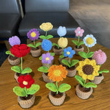 Taooba-B6Crochet Flowers