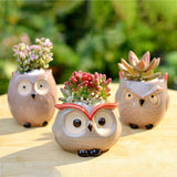 Taooba-Mini Owl Flower Pot Garden Office Decoration Succulent Ceramic Flowerpot Pastoral Cute Animal European Style Household flowerpot