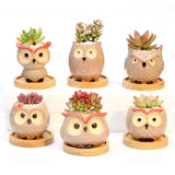 Taooba-Mini Owl Flower Pot Garden Office Decoration Succulent Ceramic Flowerpot Pastoral Cute Animal European Style Household flowerpot