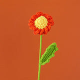 Taooba-Crochet Daisy Flowers