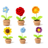 Taooba-Crochet Potted Mini Flowers