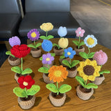 Taooba-Crochet Potted Mini Flowers