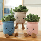 Taooba-Potted Succulents Plushies