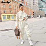 Taooba Christmas Gift outfit  Soild Fleece Vetement Femme Turtleneck 2pcs Casual Two Piece Women Sets Home Lounge Wear Pullover Sweatsuit Conjuntos De Mujer