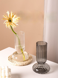 Taooba Nordic Minimalist Creative Glass Vase Transparent Waterproof Flower Container Living Room Ornaments Home Decor