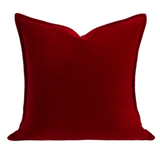 Taooba-Decorative Velvet Pillow 22 x 22 (Organic Cotton)