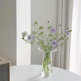 Taooba-Transparent Glass Flower Vase